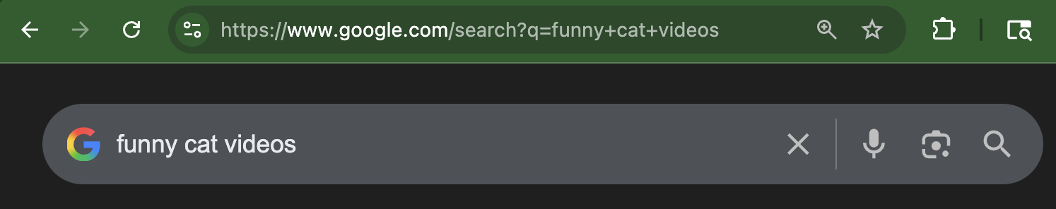 Browser URL Bar Showing Search Parameters
