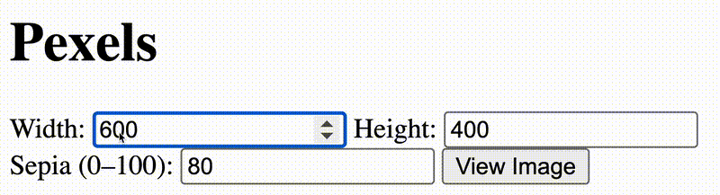 Pexels Image Viewer Form